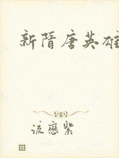 新隋唐英雄