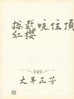 总裁咬住顶端的红樱