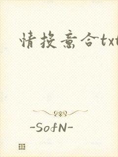 情投意合txt