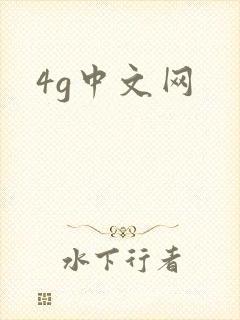 4g中文网