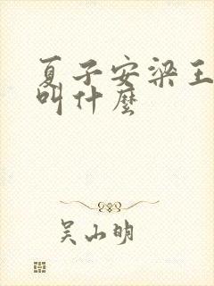 夏子安梁王书名叫什么
