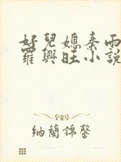 好儿媳秦雨罗明罗兴旺小说