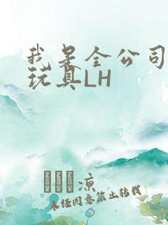我是全公司发泄玩具LH