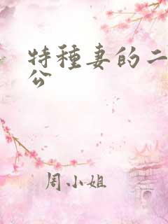特种妻的二手老公