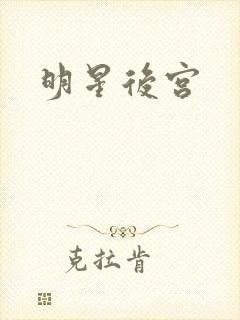 明星后宫