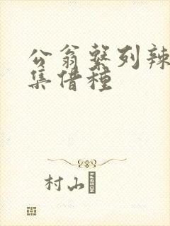 公翁系列辣文全集借种