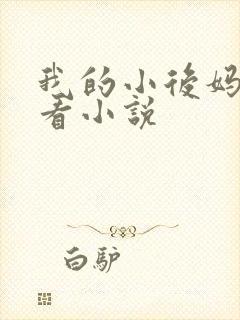 我的小后妈免费看小说