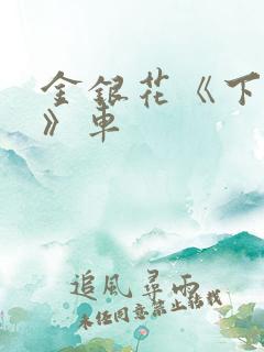 金银花《下厨房》车