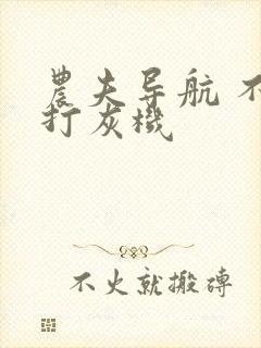 农夫导航 不准打灰机