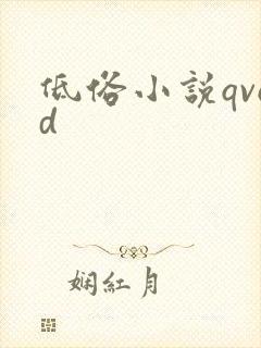 低俗小说qvod