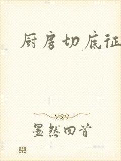 厨房切底征服岳