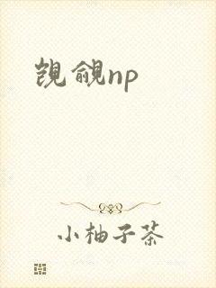 觊觎np