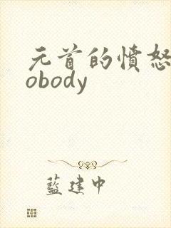 元首的愤怒之nobody