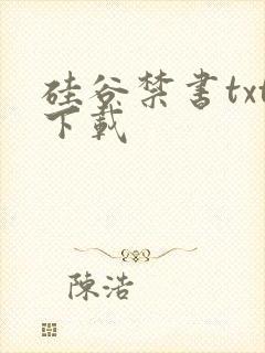 硅谷禁书txt下载