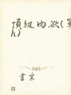 顶级肉欲(军高h)