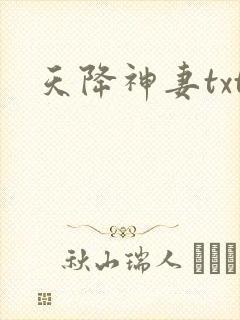 天降神妻txt