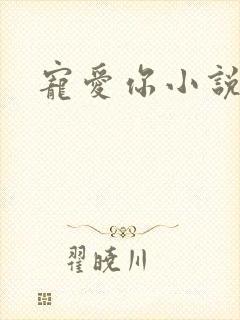 宠爱你小说