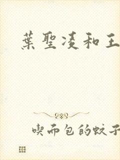 叶圣凌和王可馨