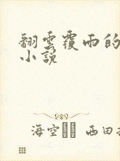 翻云覆雨的秘密小说