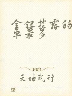 金银花露的哪个车最多