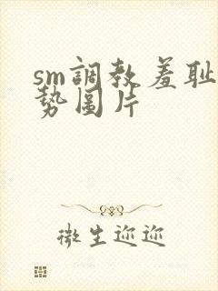 sm调教羞耻姿势图片