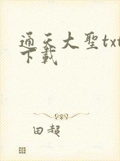 通天大圣txt下载