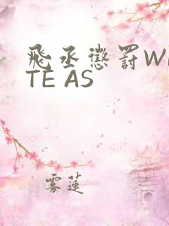 飞丞惩罚WRITE AS