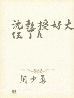 沈教授好大含不住了h