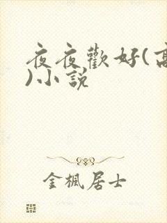 夜夜欢好(高h)小说