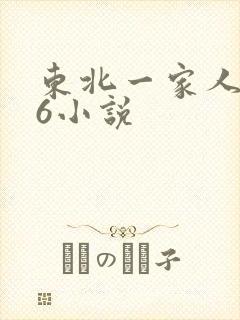 东北一家人1一6小说