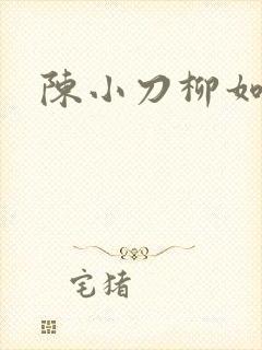 陈小刀柳如意