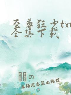 至尊狂少txt全集下载