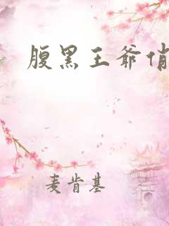 腹黑王爷俏医妃