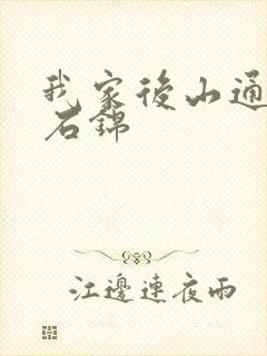 我家后山通仙界石锦