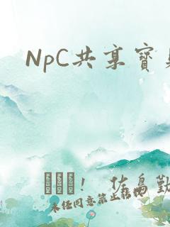 NpC共享宝贝