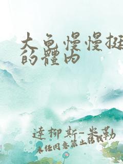 大龟慢慢挺进我的体内