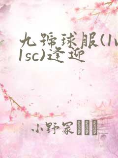 九号球服(1v1sc)逢迎