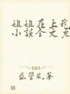 姐姐在上我在下小说全文免费阅读