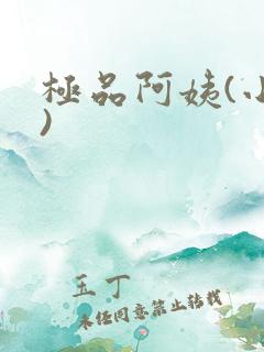极品阿姨(小说)