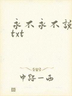 永不永不说再见txt