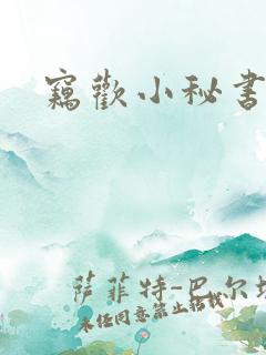 窃欢小秘书
