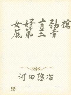 女婿有劲枪枪到底第三章