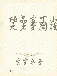 极品家丁小说全文免费阅读