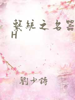 系统之名器勾男H