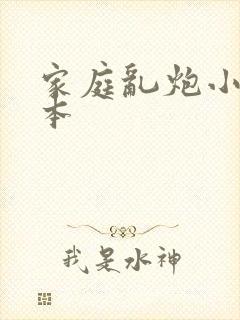 家庭乱炮小说全本