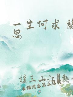 一生何求 兰思思