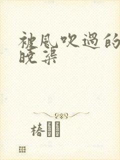 被风吹过的夏天晓渠