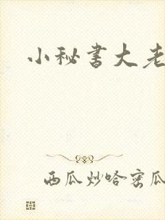 小秘书大老婆