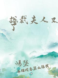 总裁夫人又征婚了