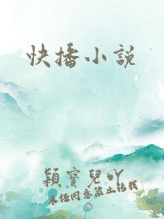 快播小说
